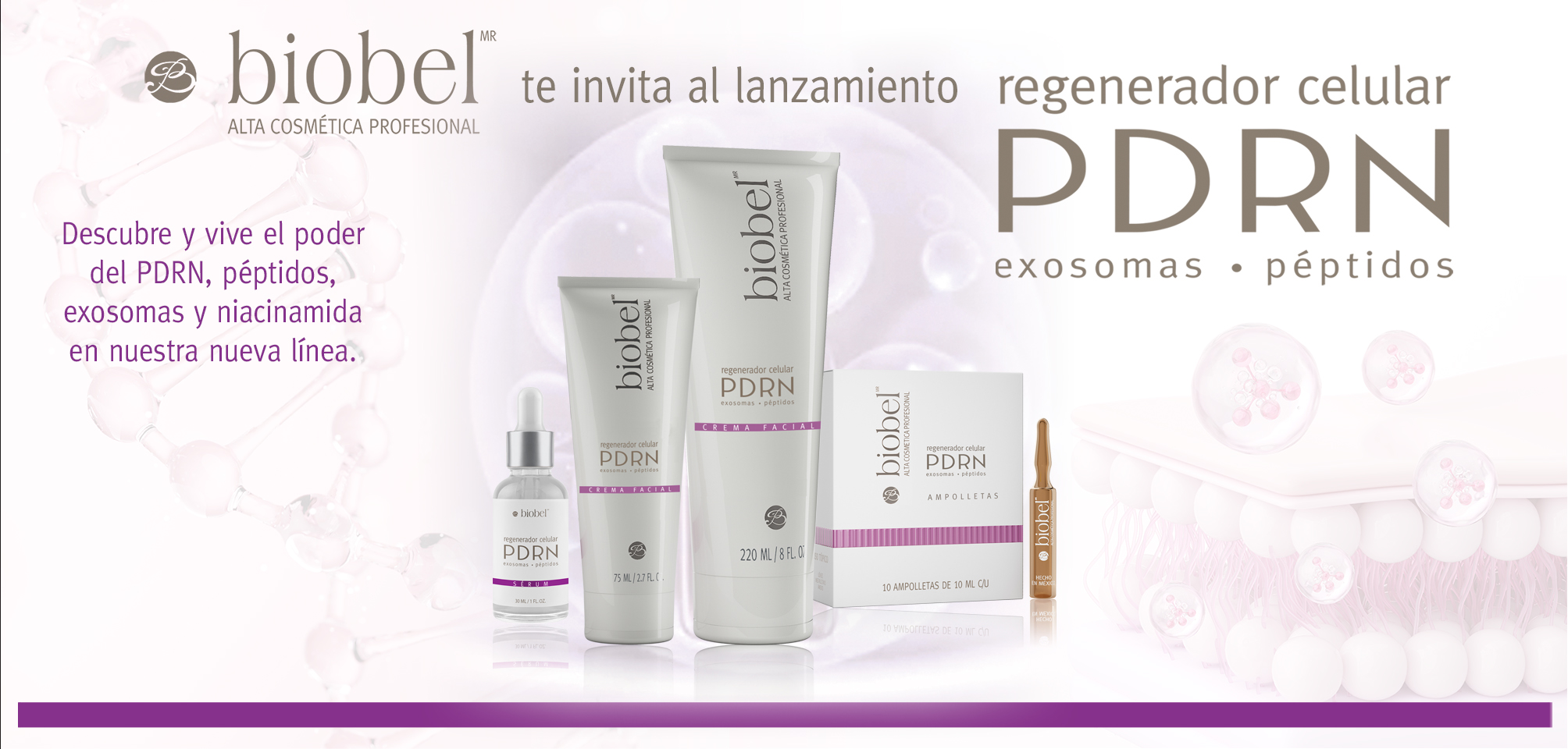 Lanzamiento Biobel